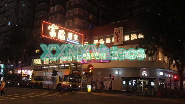  Hk Wanchai Visit Asian Sex Diary 2025 02 08